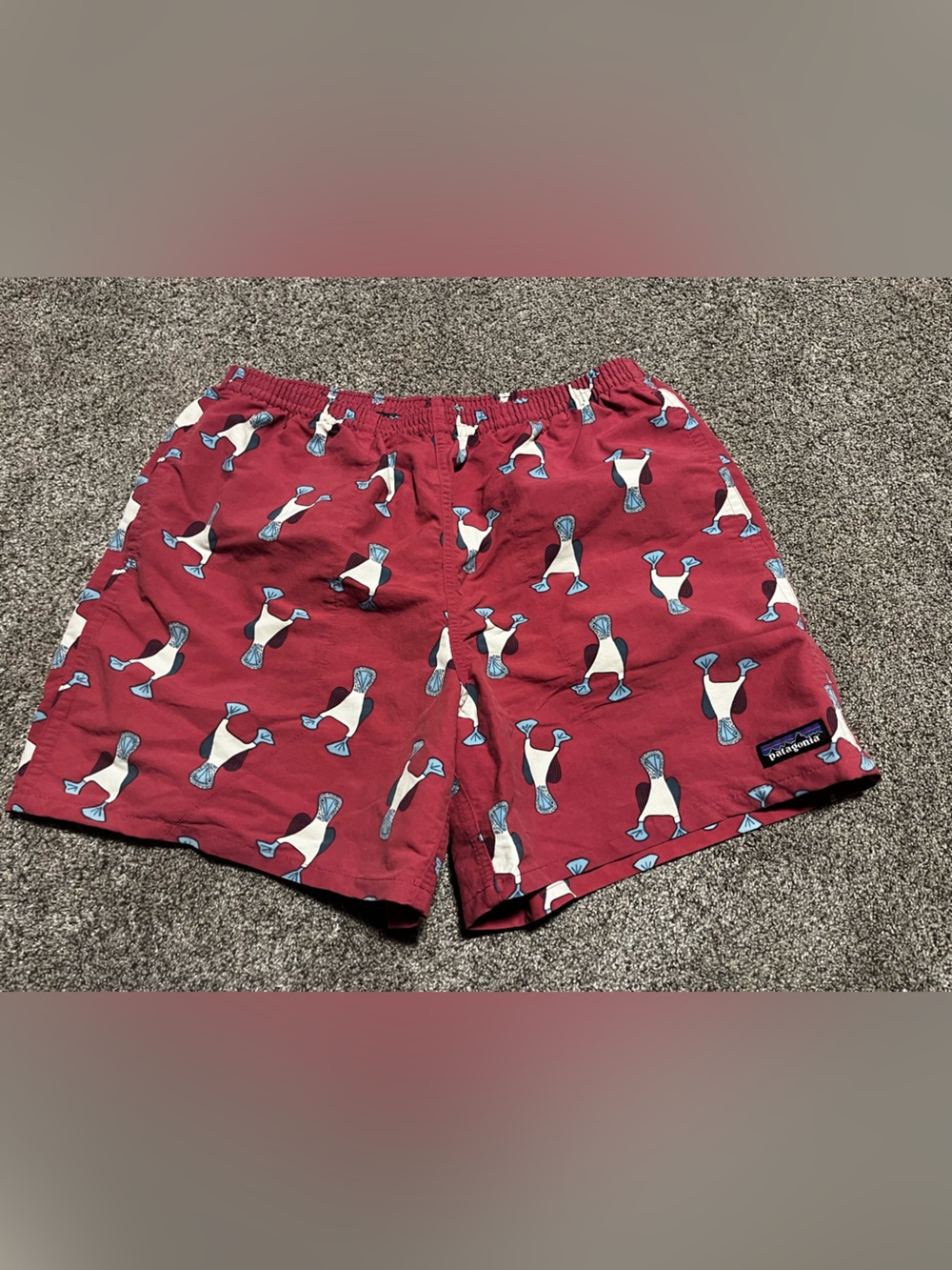 Patagonia Baggies Shorts Men's Medium Burgundy Blue Footed Booby Bird Swim Trunk